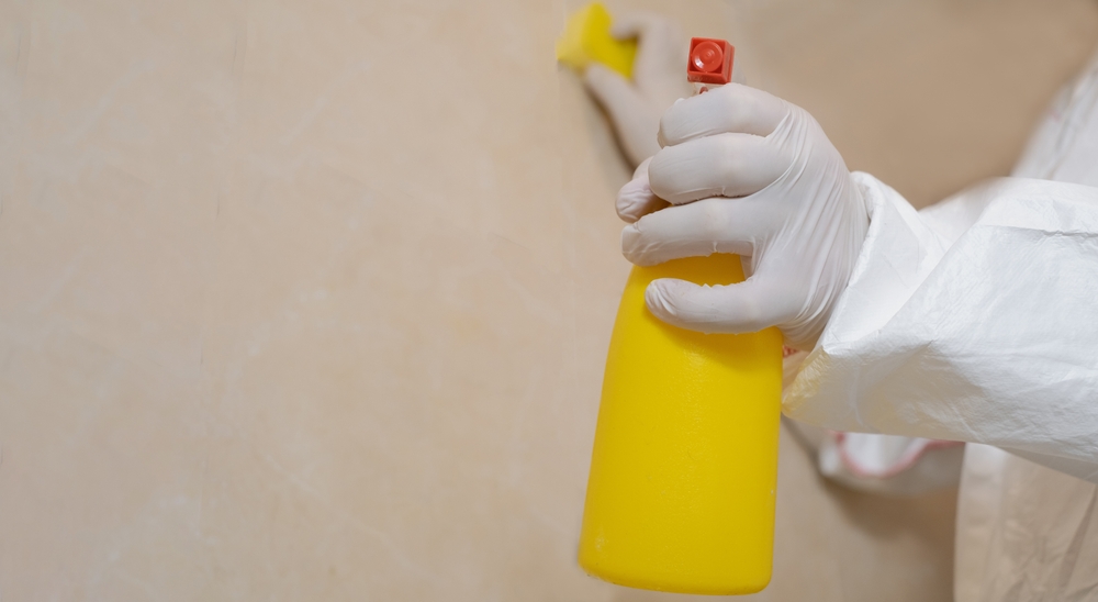 A cleaning service worker removes mold from a wall using a sprayer 