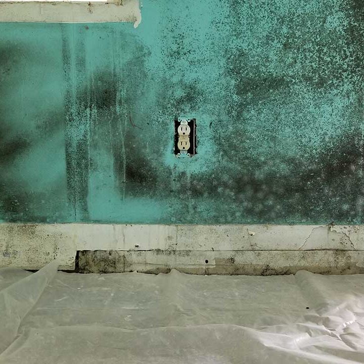 mold-damage mold-damage