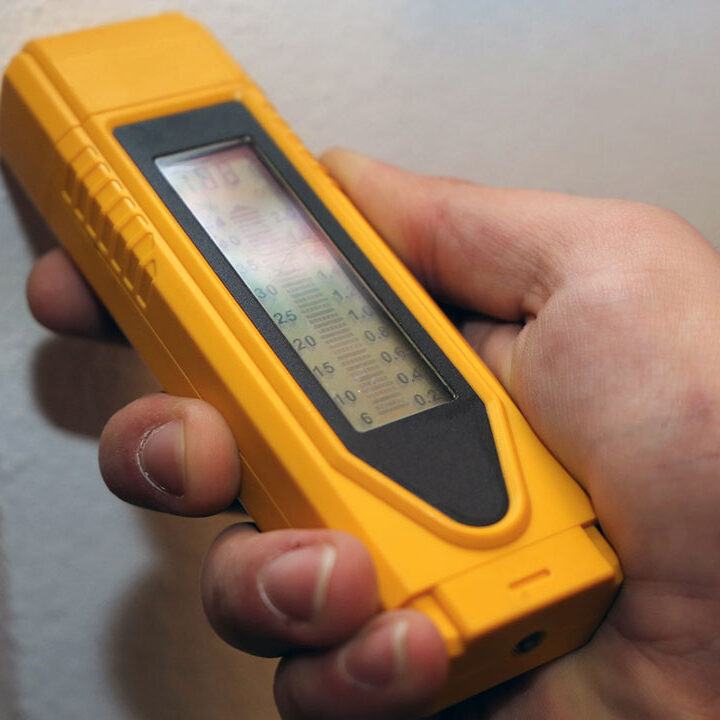 mold inspection